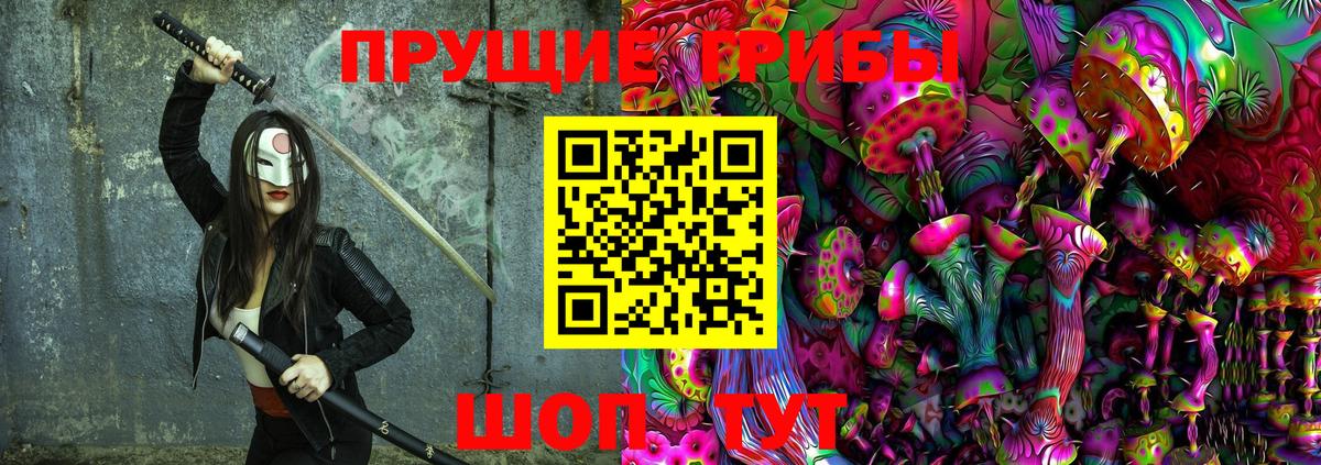 Великие Луки  Псилоцибиновые грибы Psilocybine cubensis  Вход с VPN 